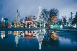 Christmas illumination at Nagaoka factory 2022